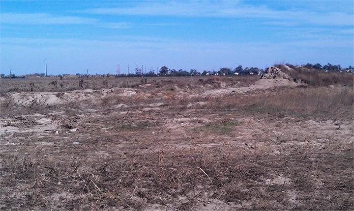 May contain: ground, soil, land, nature, and outdoors