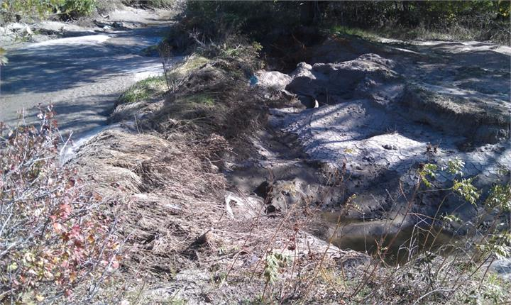 May contain: nature, outdoors, wilderness, rock, plant, vegetation, and water