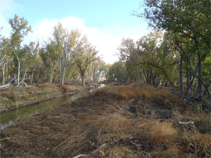 May contain: land, nature, outdoors, plant, vegetation, tree, woodland, grove, wilderness, ditch, water, and canal
