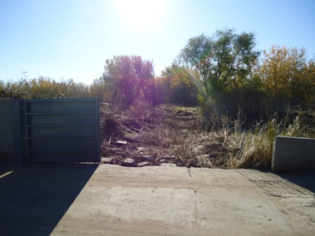 May contain: plant, vegetation, path, gate, city, road, street, urban, soil, and outdoors