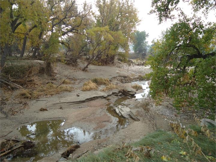 May contain: water, plant, vegetation, land, nature, outdoors, creek, stream, wilderness, grove, tree, and woodland