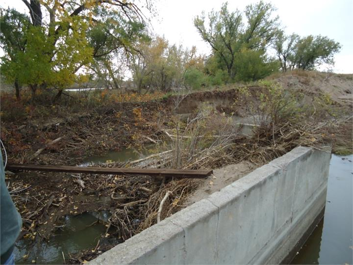 May contain: ditch, outdoors, land, nature, soil, plant, vegetation, water, and person