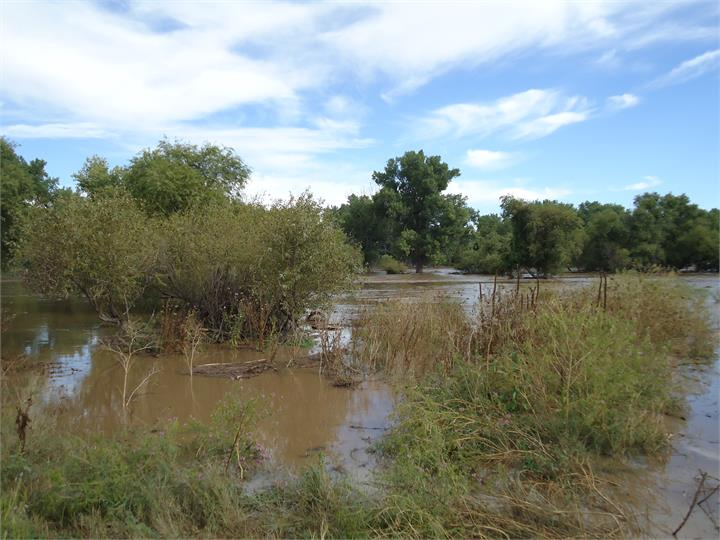 May contain: land, nature, outdoors, plant, vegetation, water, and swamp