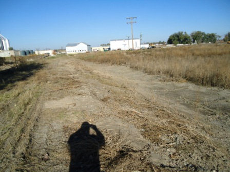 May contain: soil, gravel, road, path, grass, plant, and ground