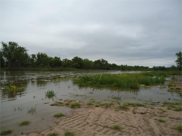 May contain: land, nature, outdoors, water, swamp, plant, vegetation, and pond