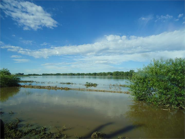 May contain: land, nature, outdoors, scenery, sky, landscape, water, plant, vegetation, and swamp