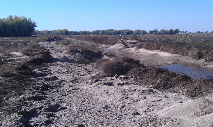 May contain: soil, outdoors, and water