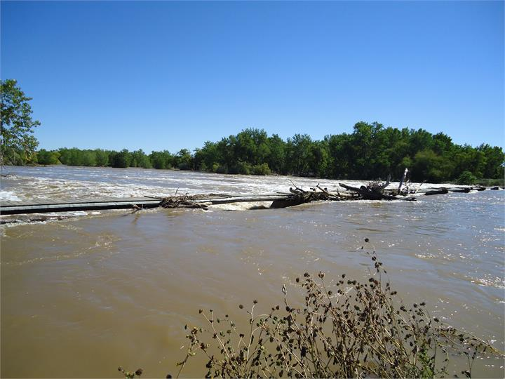 May contain: flood, water, plant, vegetation, land, nature, and outdoors