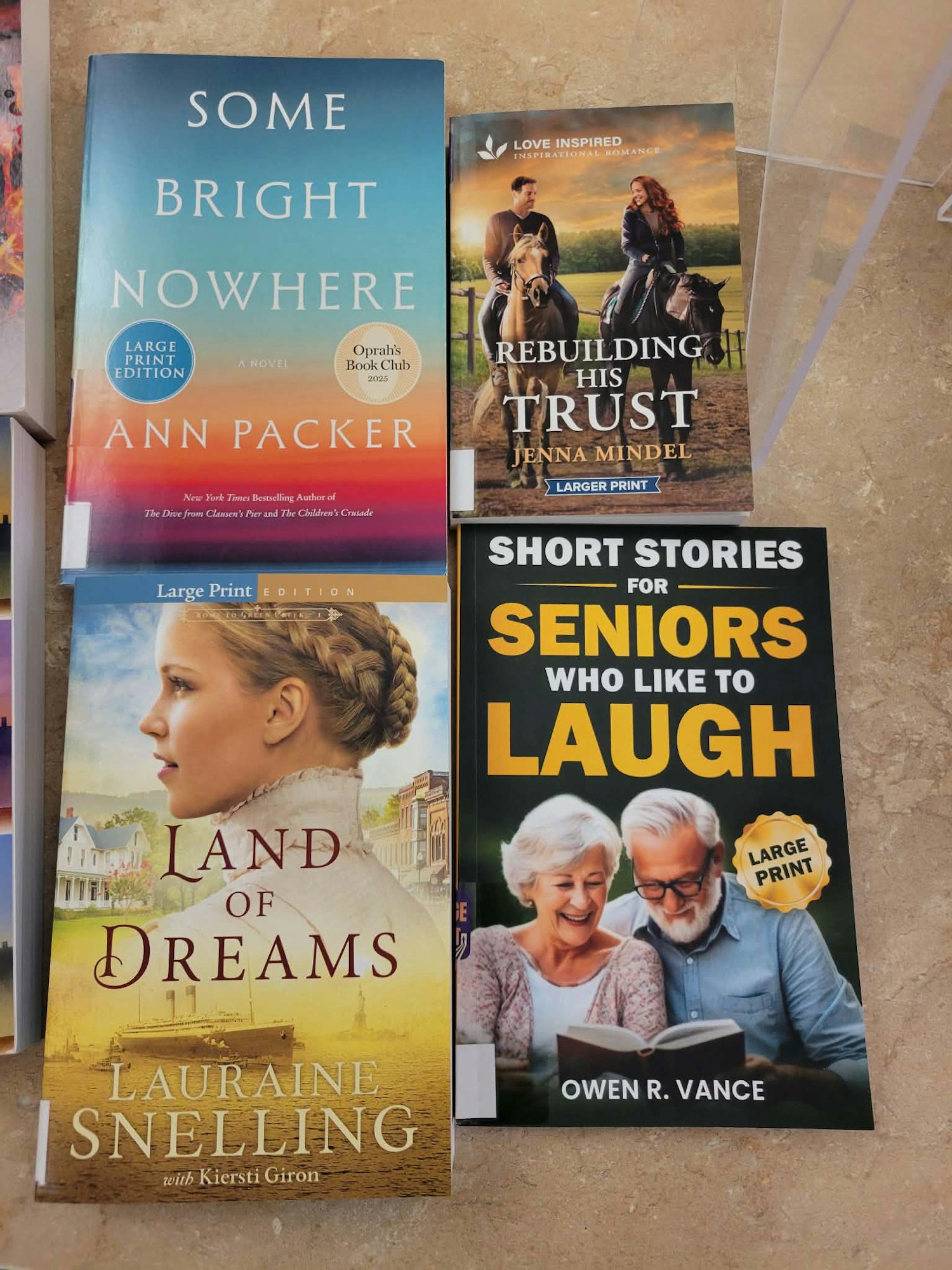 The image features four books: "Some Bright Nowhere," "Rebuilding His Trust," "Land of Dreams," and "Short Stories for Seniors Who Like to Laugh."