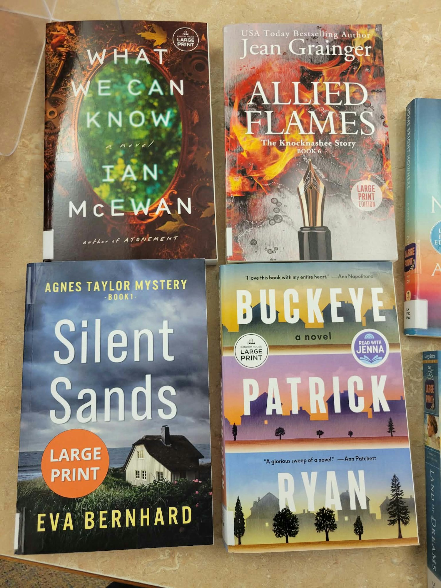 The image features four books: "What We Can Know" by Ian McEwan, "Allied Flames" by Jean Grainger, "Silent Sands" by Eva Bernhard, and "Buckeye" by Patrick Ryan, all in large print.