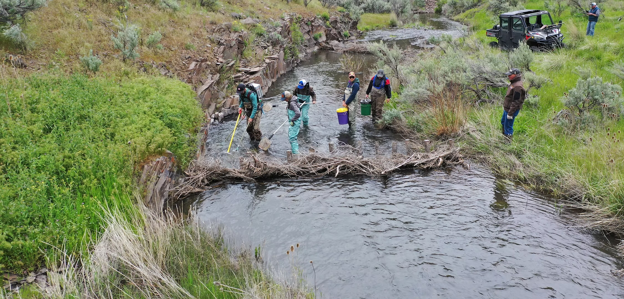People in waders working in a stream with nets and buckets, surrounded by greenery and a parked ATV nearby.