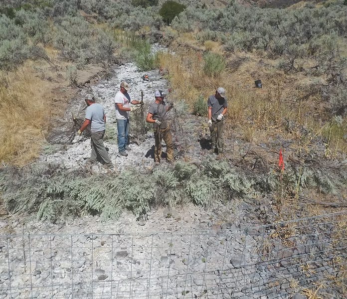 Four people working outdoors, arranging branches and vegetation in a dry, rocky environment. A fence is visible in the foreground.
