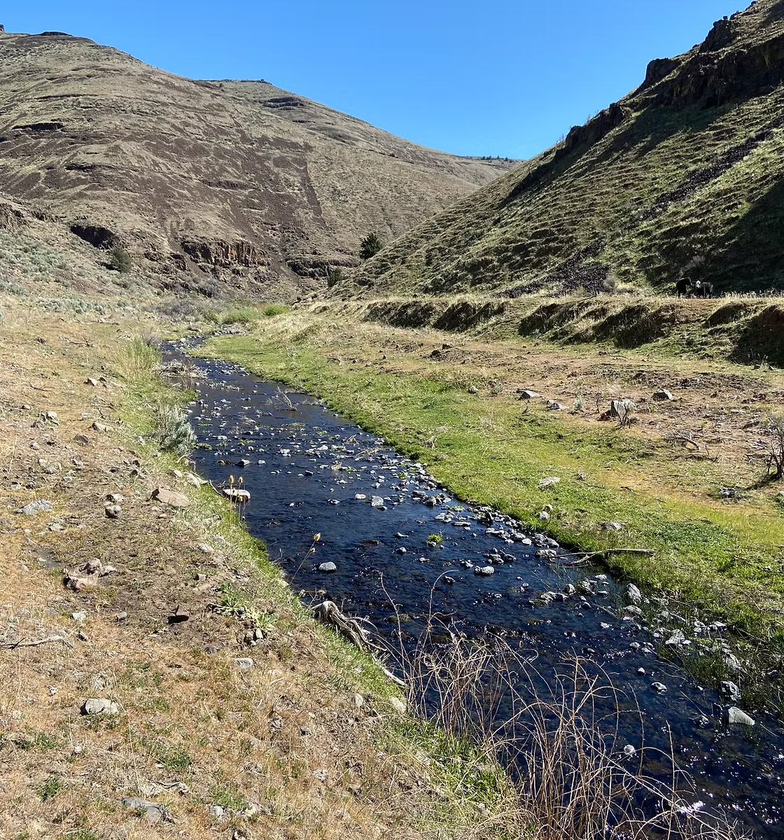 A small stream flows through a grassy landscape with rolling hills under a clear blue sky.