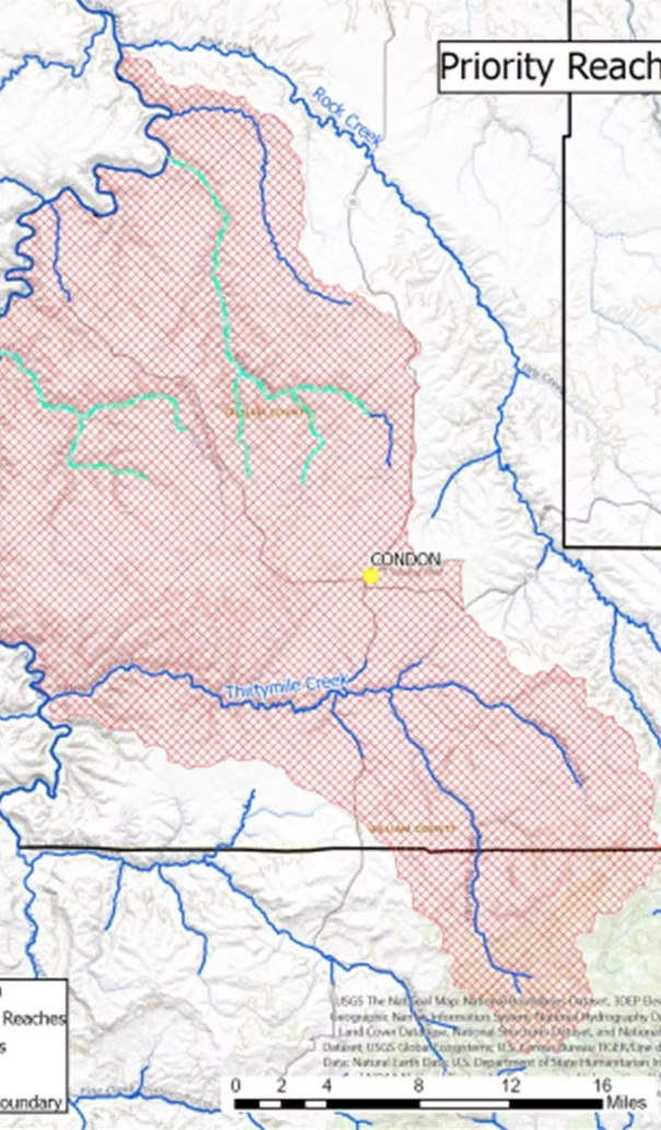 Map showing a region with red cross-hatching labeled "Priority Reaches," featuring blue rivers and the town "Condon."