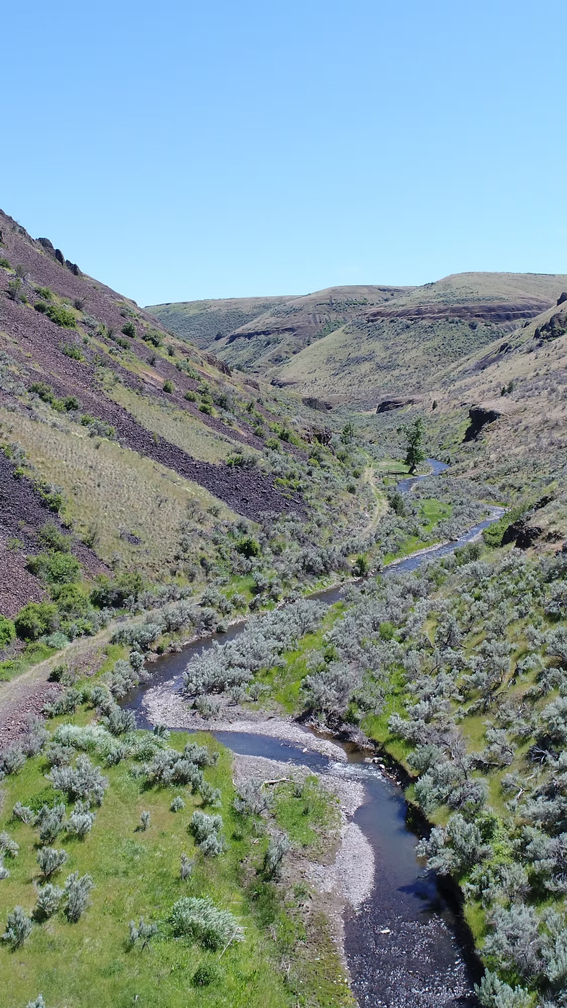 A winding stream flows through a green valley flanked by rocky hills under a clear blue sky.