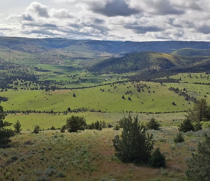 A scenic view of a vast, rolling landscape with green hills and scattered clouds in the sky.