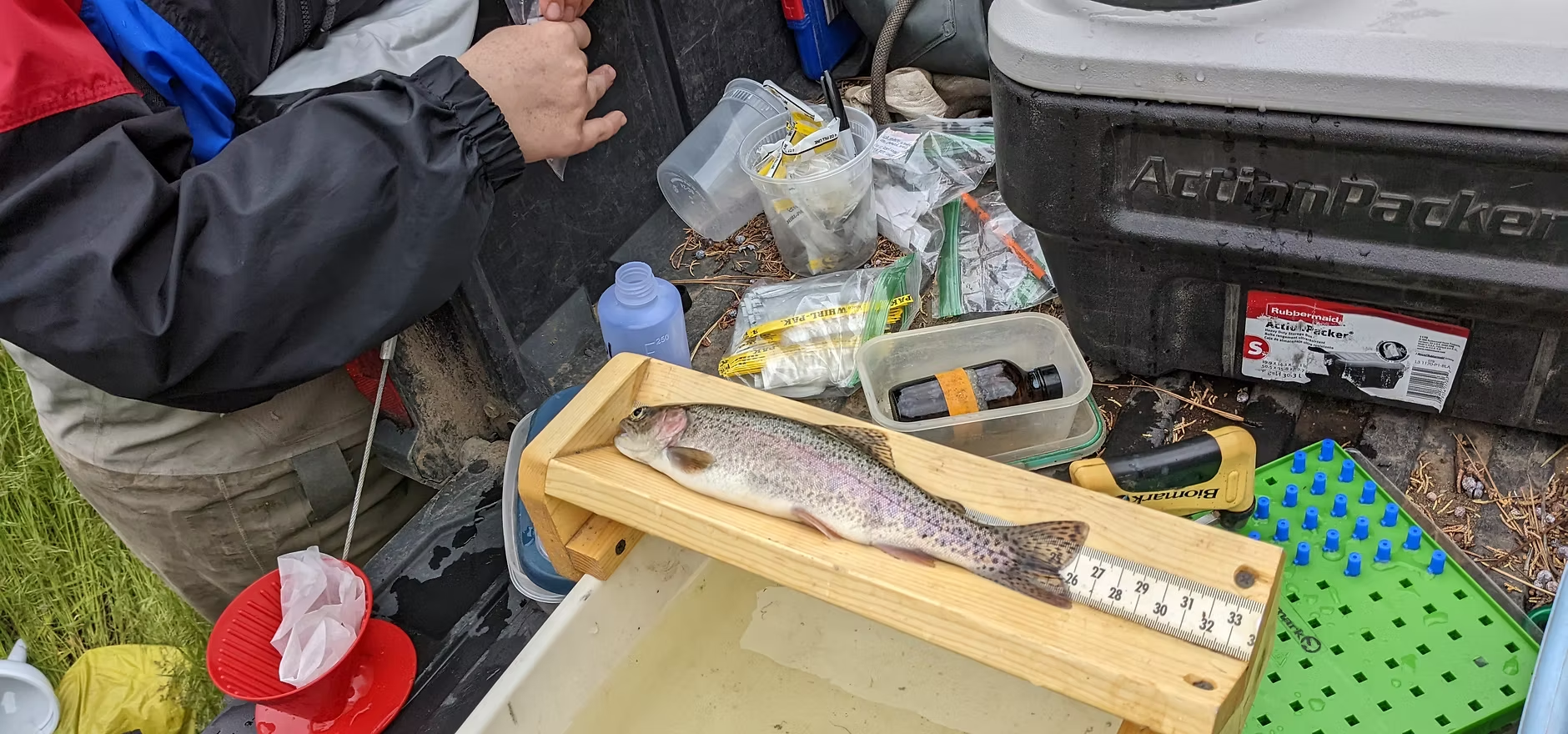 A person prepares fishing equipment. A fish is on a measuring board among various tools and containers on a table.