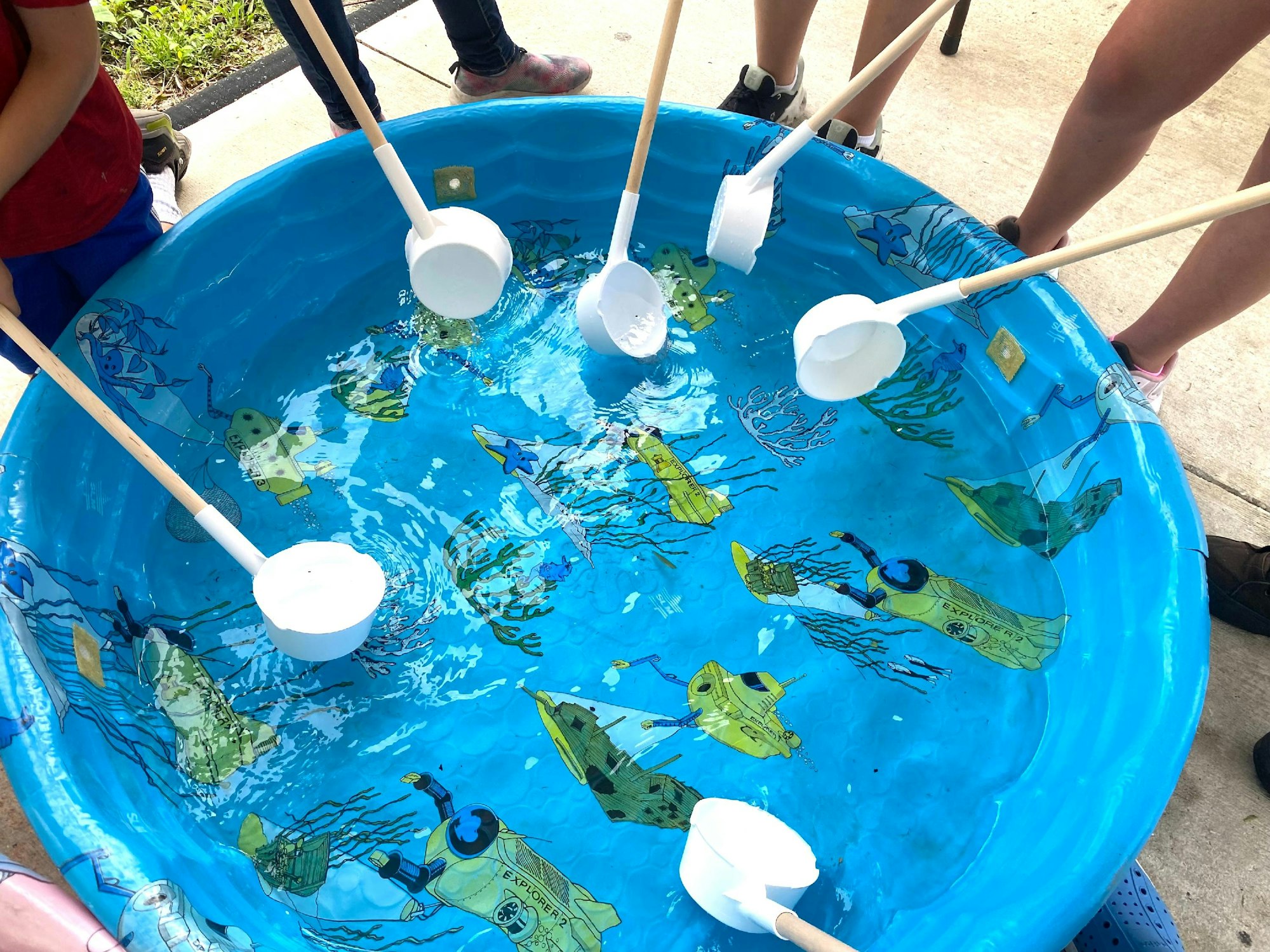 A kiddie pool with water, illustrated sea creatures, and floating objects being scooped with plastic ladles.