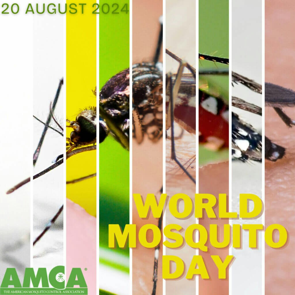 Collage of mosquito close-ups promoting "World Mosquito Day" on August 20, 2024, with AMCA logo (American Mosquito Control Association).