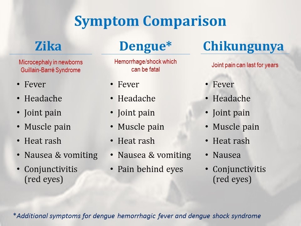 A slide comparing symptoms of Zika, Dengue, and Chikungunya: fever, headache, joint pain, muscle pain, heat rash, nausea & vomiting, red eyes.