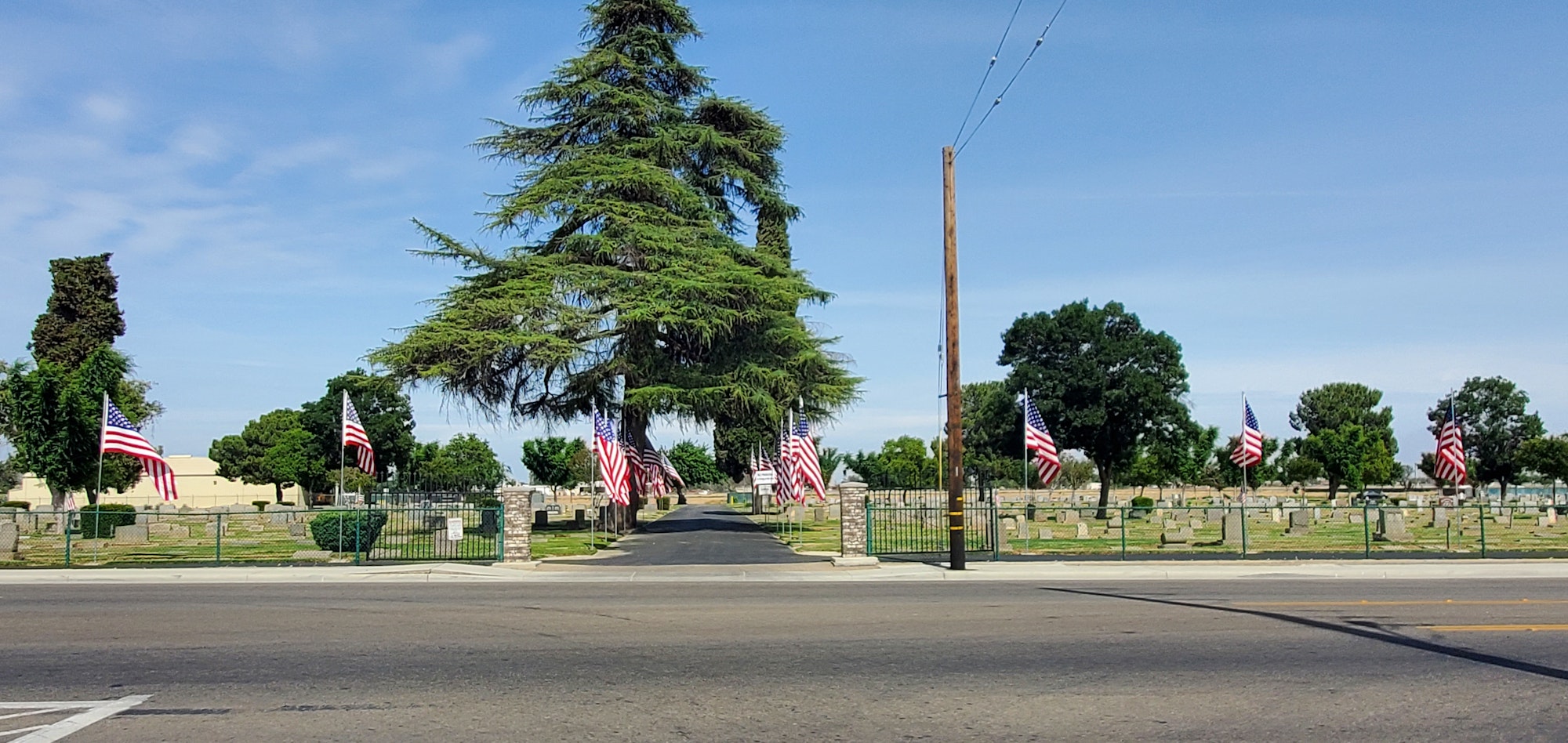 May contain: flag, symbol, tree, plant, fir, and abies