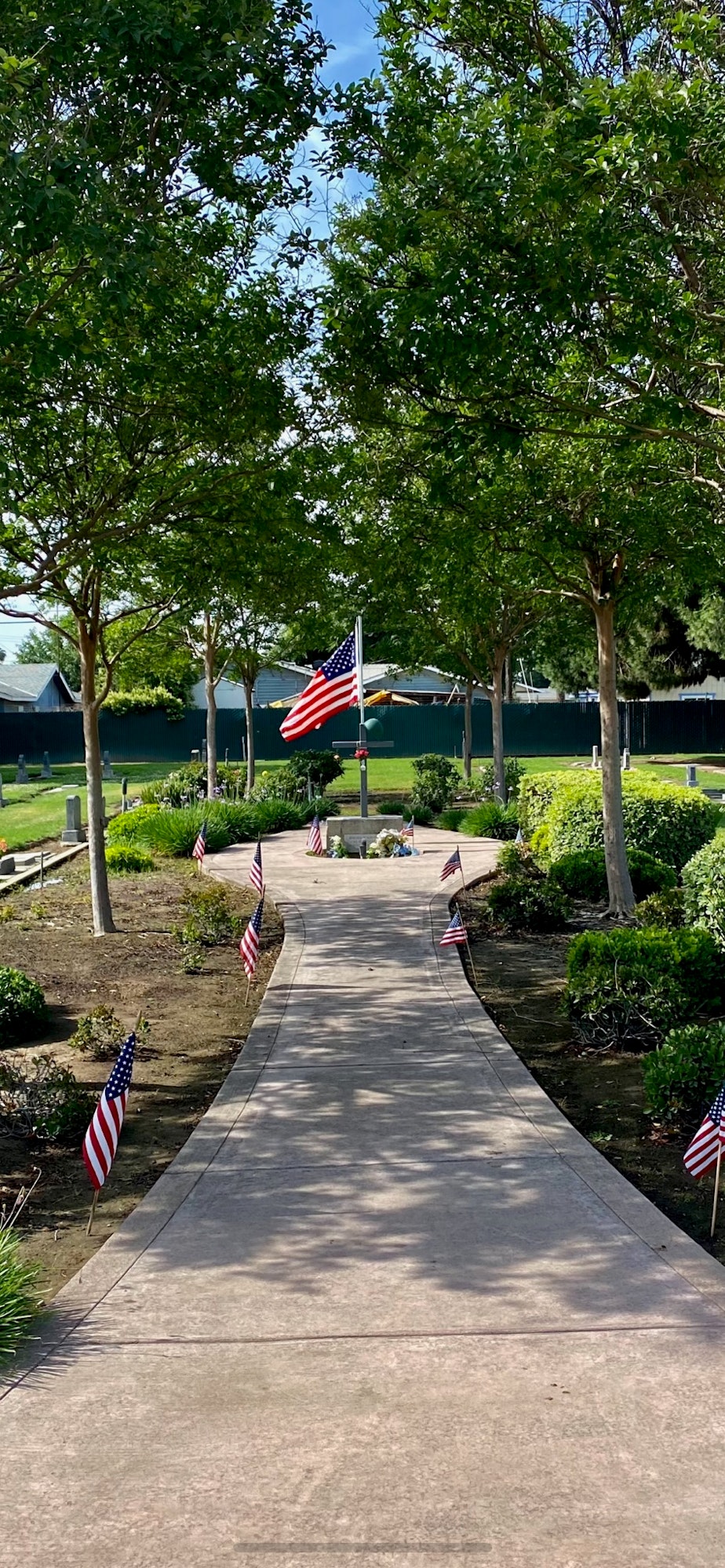 May contain: flag, symbol, and american flag