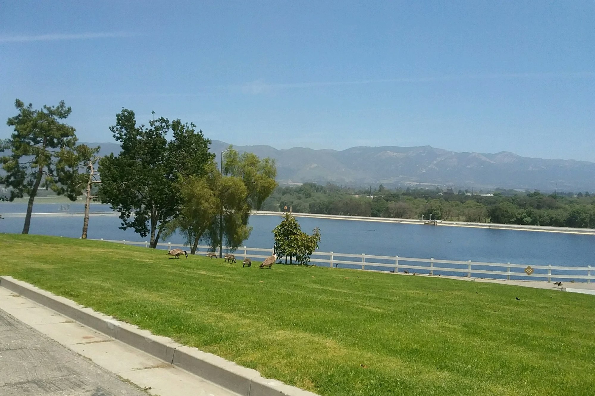A scenic view of a lake surrounded by trees, with geese grazing on the grassy area and mountains in the background.