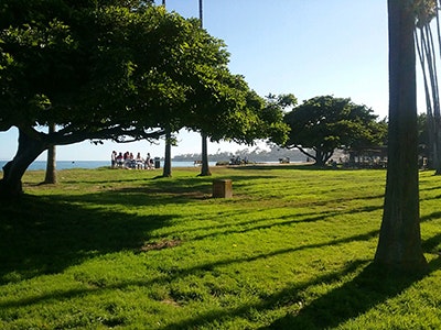 A sunny park scene with lush green grass, tall trees, and a group of people near the coast enjoying outdoor activities.