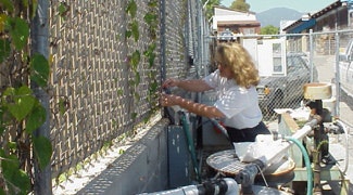 A woman is working near a fence, interacting with equipment and possibly a water system in an outdoor setting.