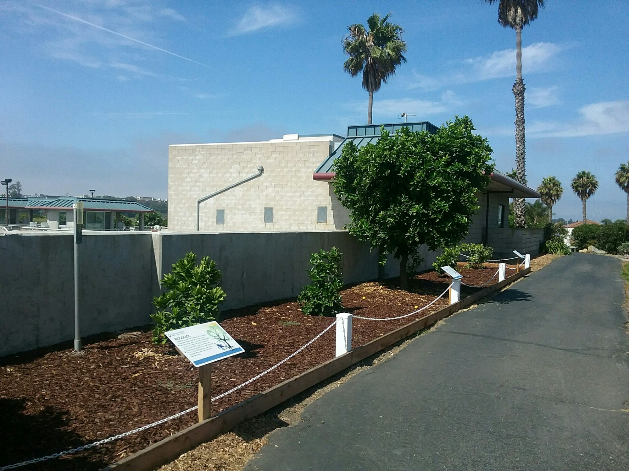A landscaped path beside a building, featuring trees, palm trees, and informative signs along a mulched area under a blue sky.