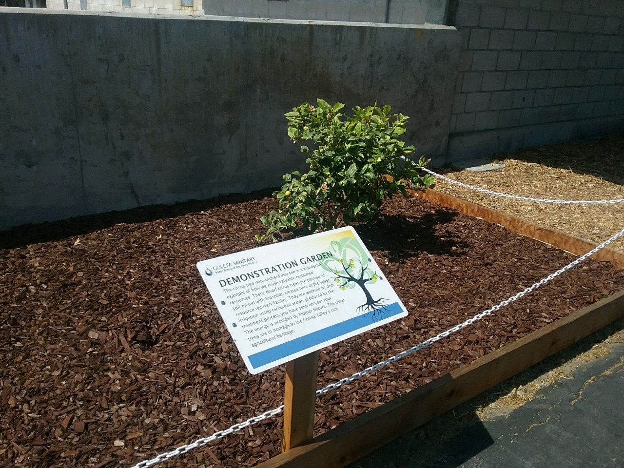 A demonstration garden with a sign explaining its purpose, featuring a small shrub surrounded by mulch and wooden borders.