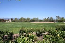 A sunny park scene with a large grassy area, trees in the background, and a clear blue sky. Ideal for outdoor activities.