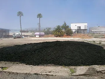 The image shows a mound of dark material, possibly soil or mulch, in an open area with palm trees and buildings in the background.