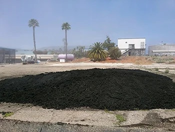 The image shows a mound of dark material, possibly soil or mulch, in an open area with palm trees and buildings in the background.