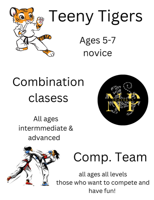 Promotional poster for martial arts classes: Teeny Tigers (ages 5-7), Combination classes (all ages), and Competition Team (all levels).