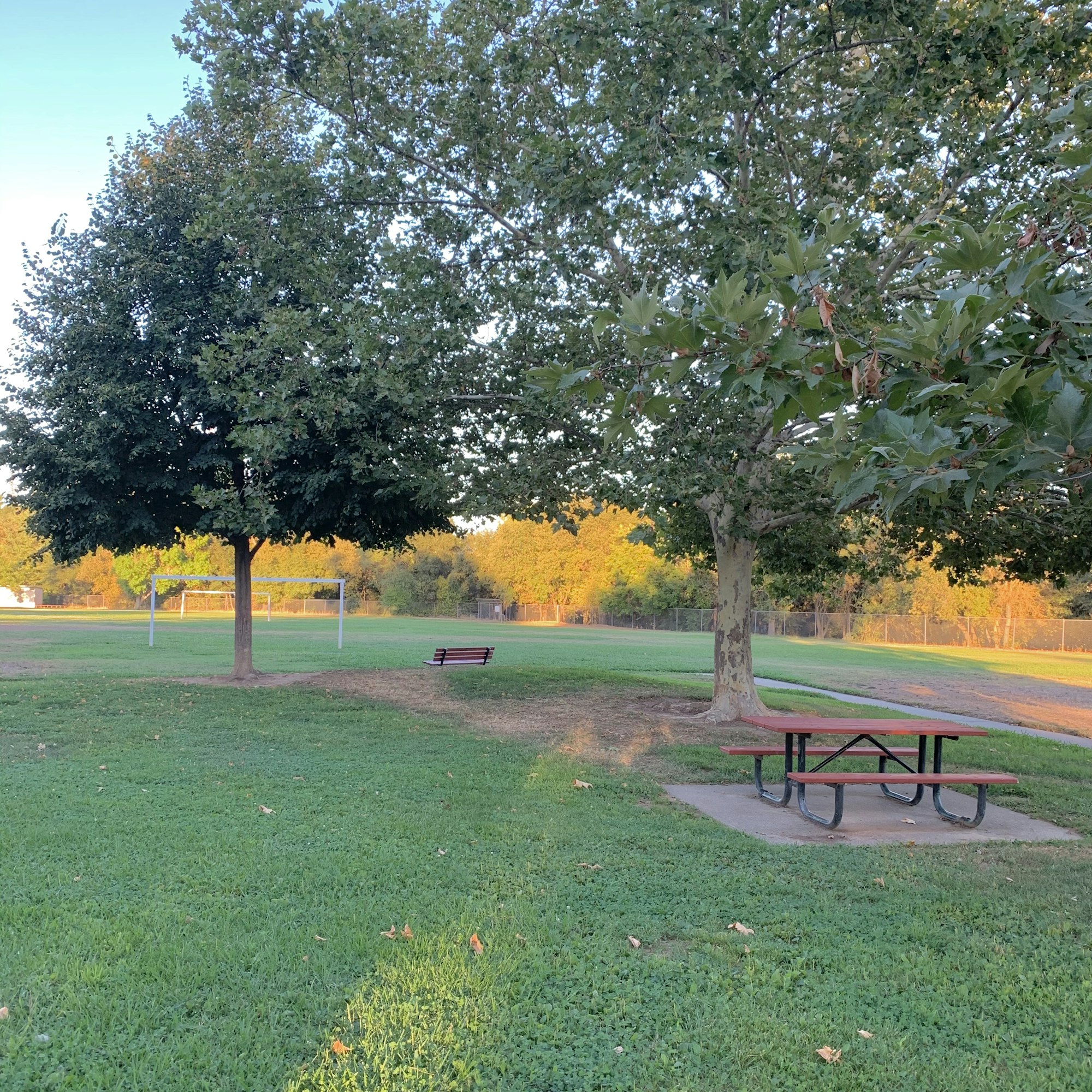 May contain: grass, plant, furniture, bench, and tree