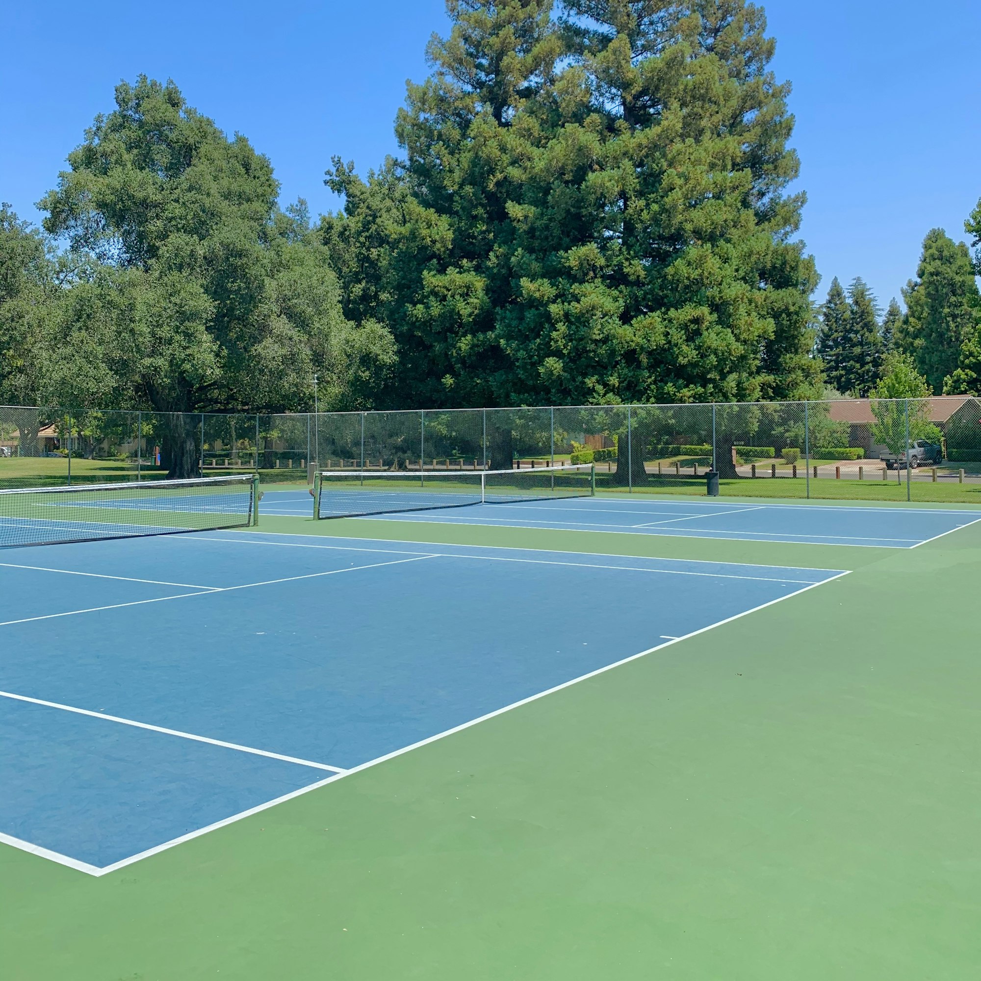 May contain: sport, sports, and tennis court