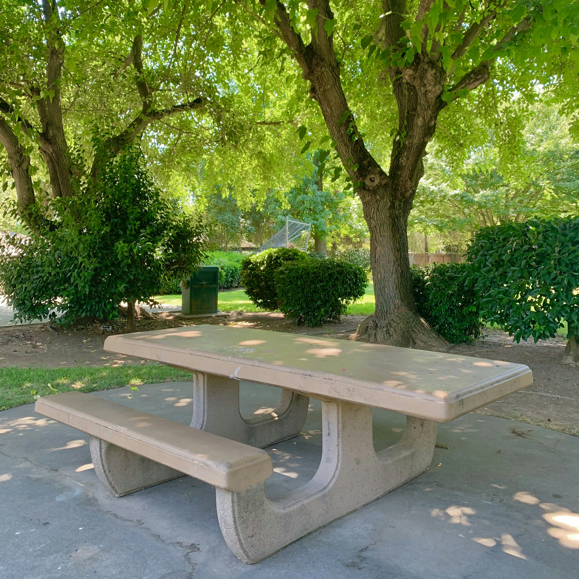 May contain: furniture, plant, tree, bench, and grass