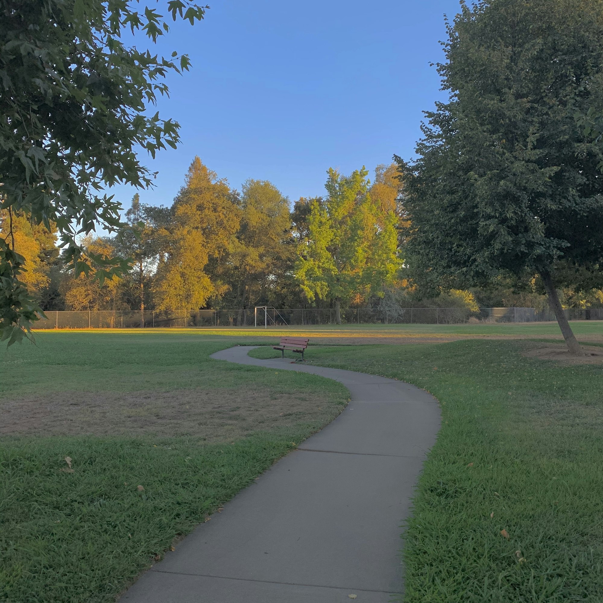 May contain: plant, tree, path, and grass