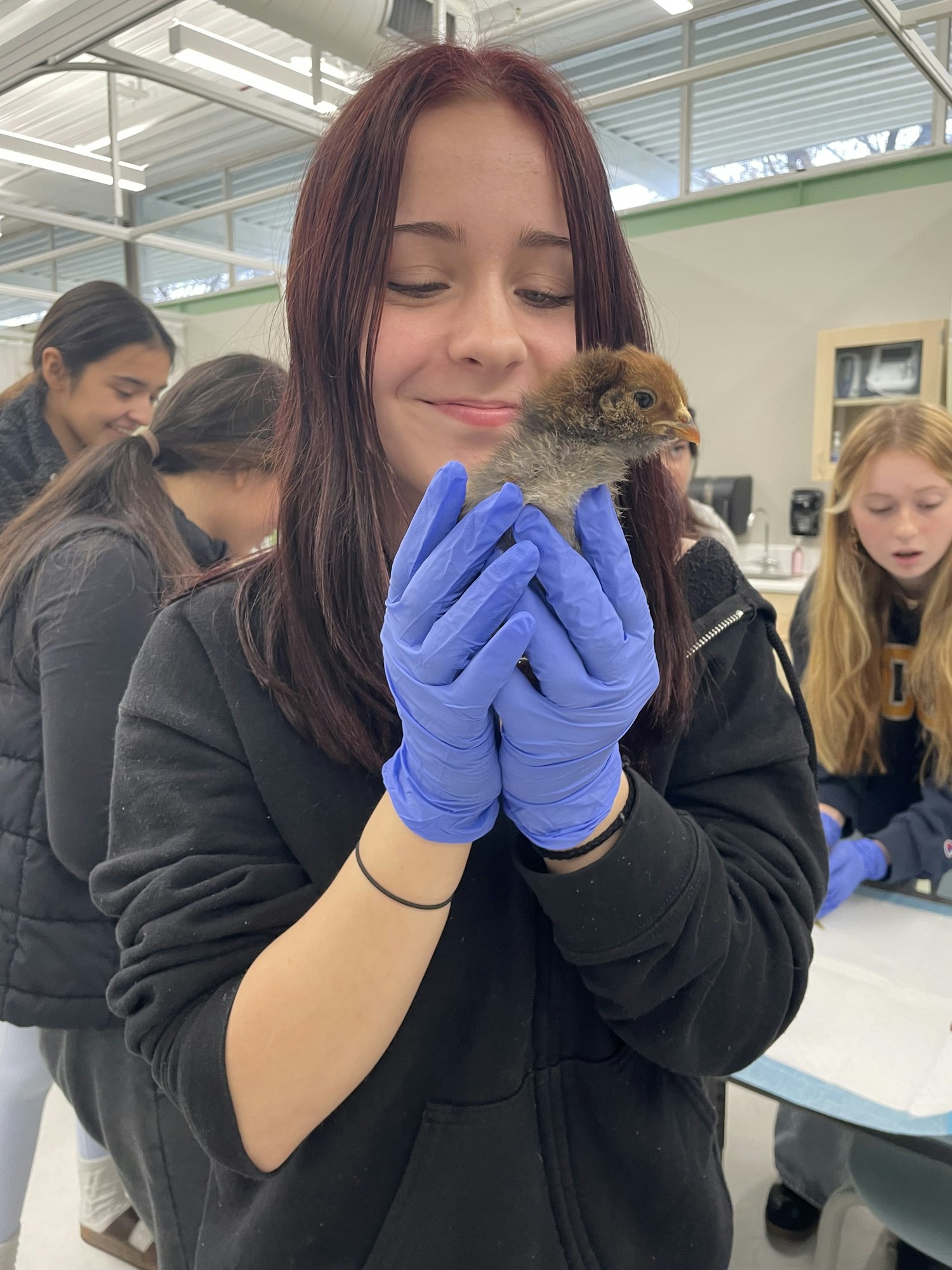 A smiling girl with red hair holds a small chick while wearing blue gloves, with others observing in the background.