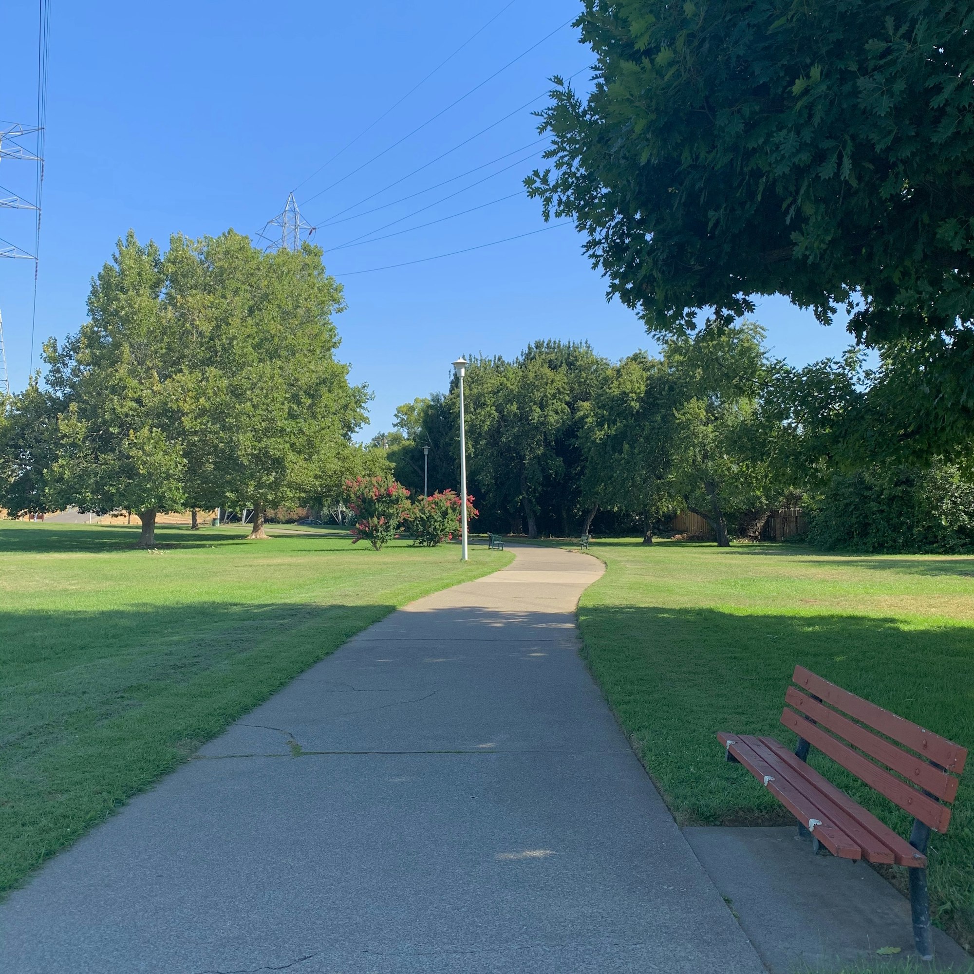 May contain: plant, grass, bench, furniture, lawn, and path