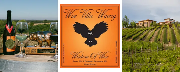 The image features wine bottles, glasses, a trophy, a winery label, and a scenic vineyard landscape.