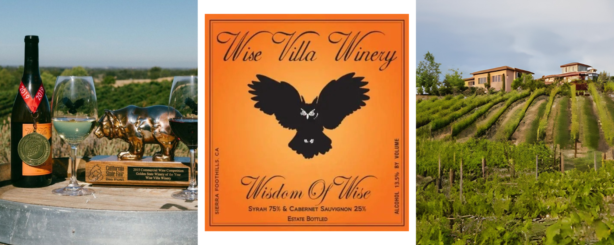 The image features wine bottles, glasses, a trophy, a winery label, and a scenic vineyard landscape.