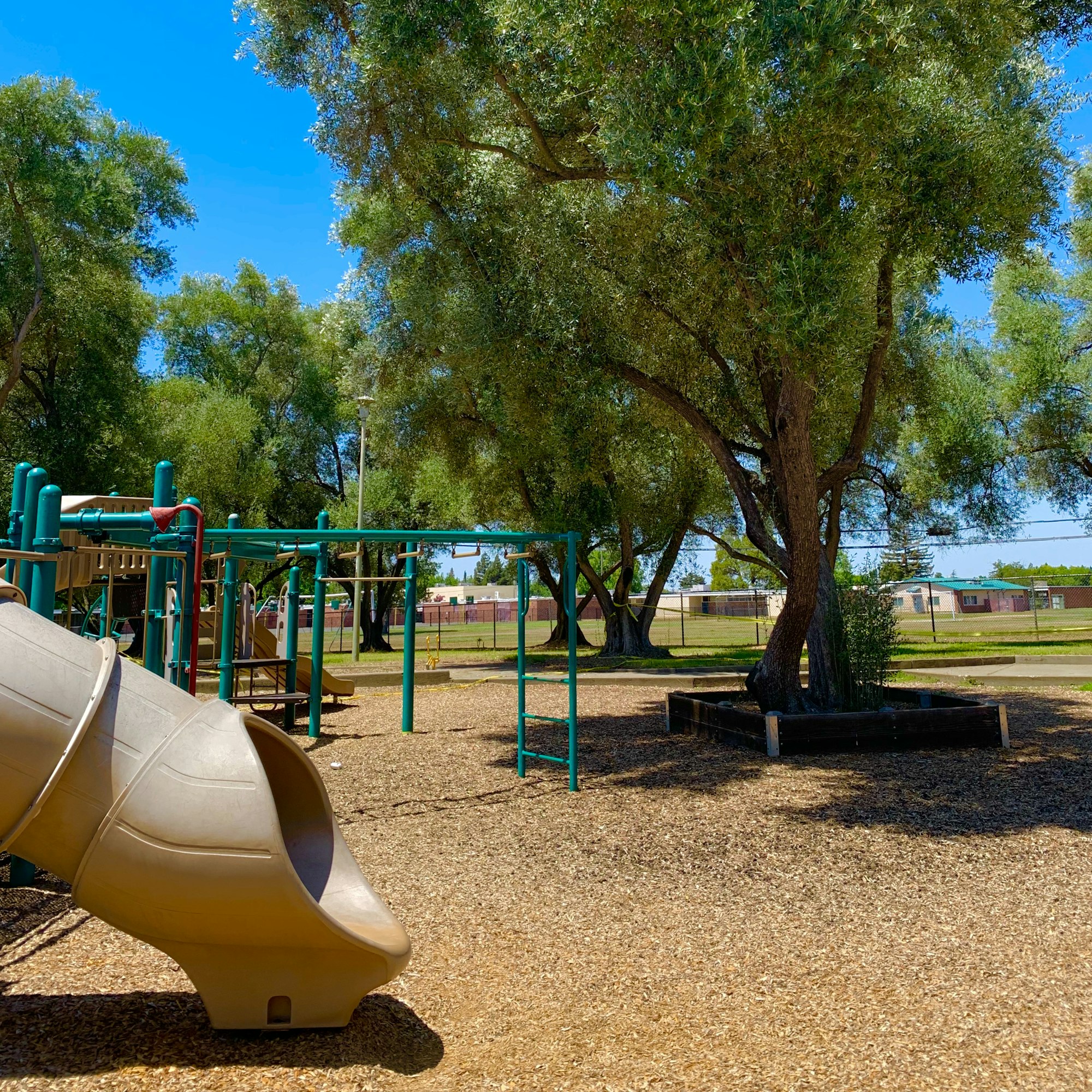 A playground scene featuring a slide, climbing structures, and several trees under a blue sky. Ideal for outdoor play.