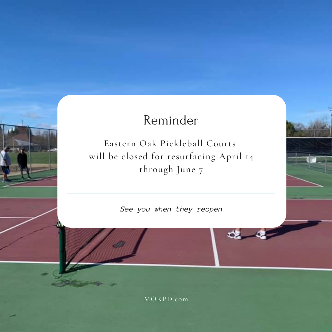 May contain: person, human, sport, sports, tennis court, business card, text, and paper