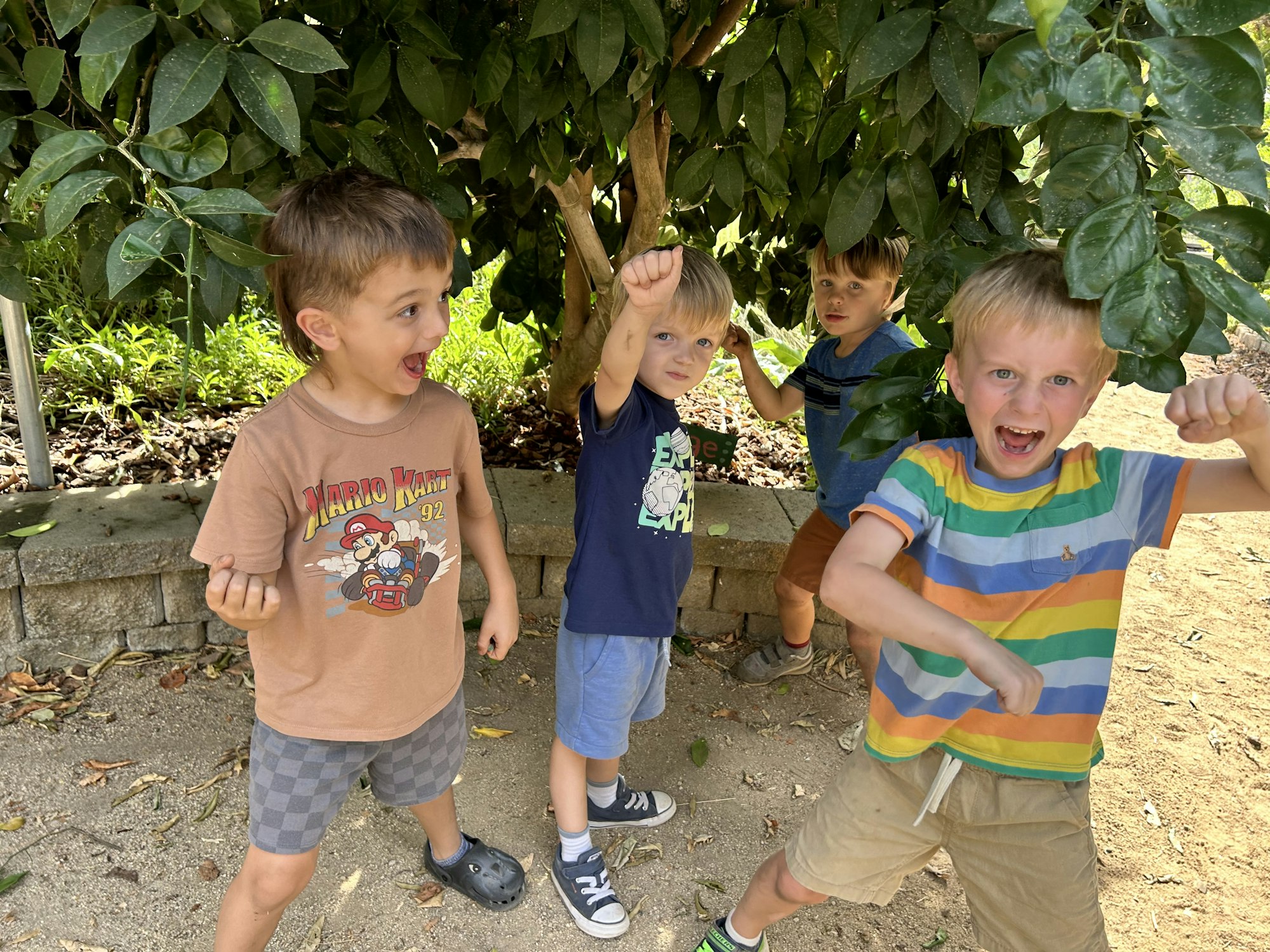 Four boys playing energetically under a tree with excited expressions.