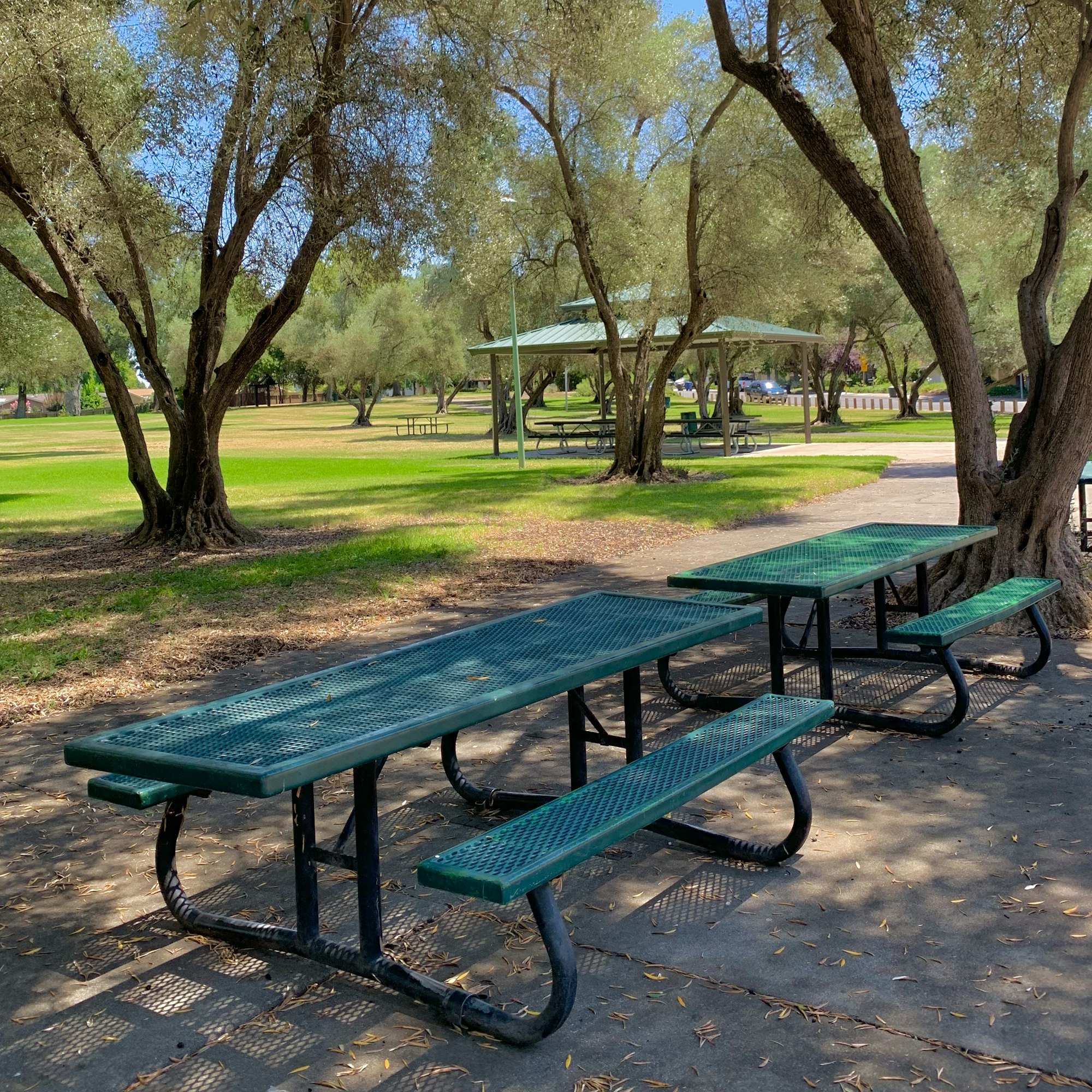 A green picnic table under trees in a park, with grassy areas and additional picnic setups in the background.