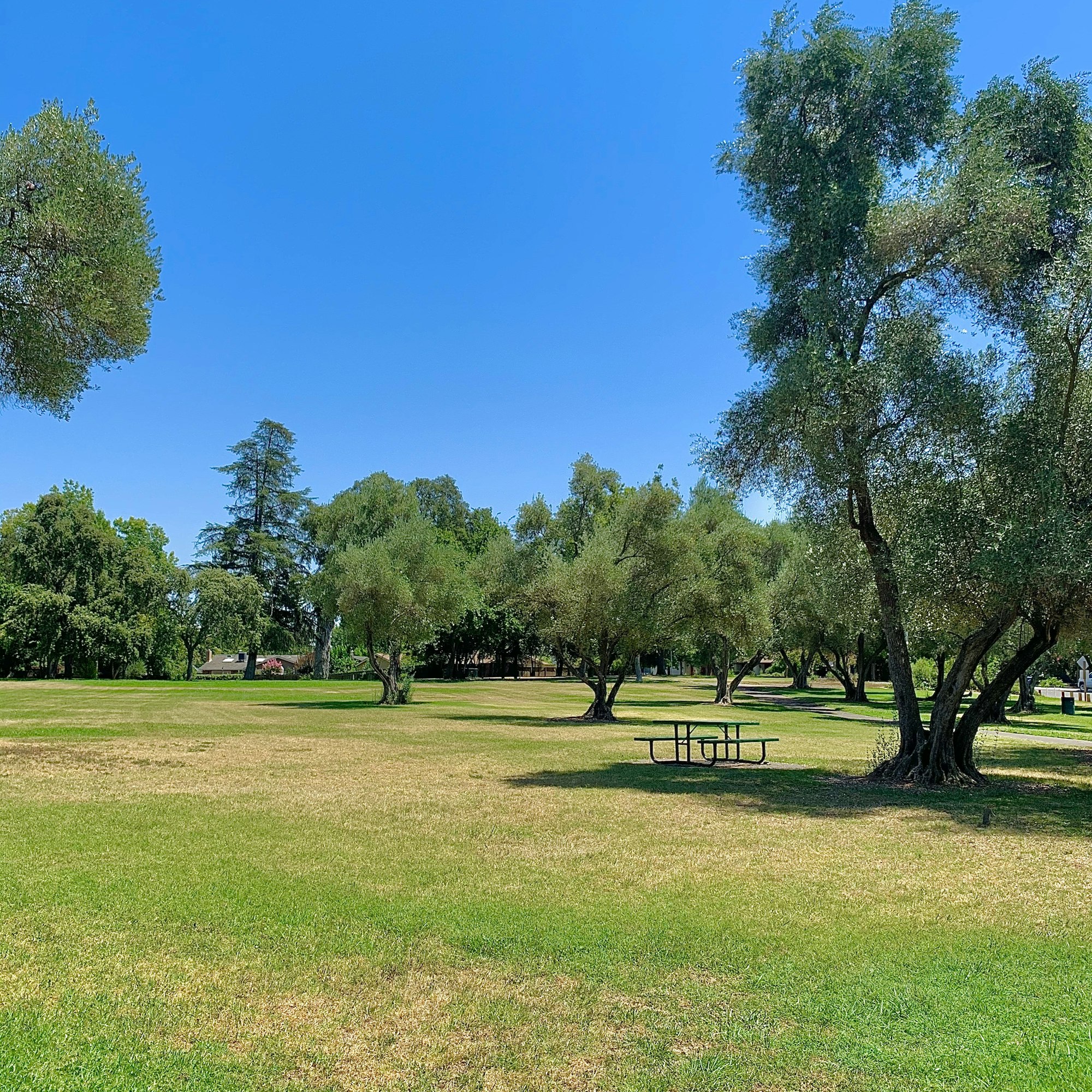 A sunny park scene with green grass, scattered trees, and a picnic table under a clear blue sky. Perfect for outdoor relaxation!