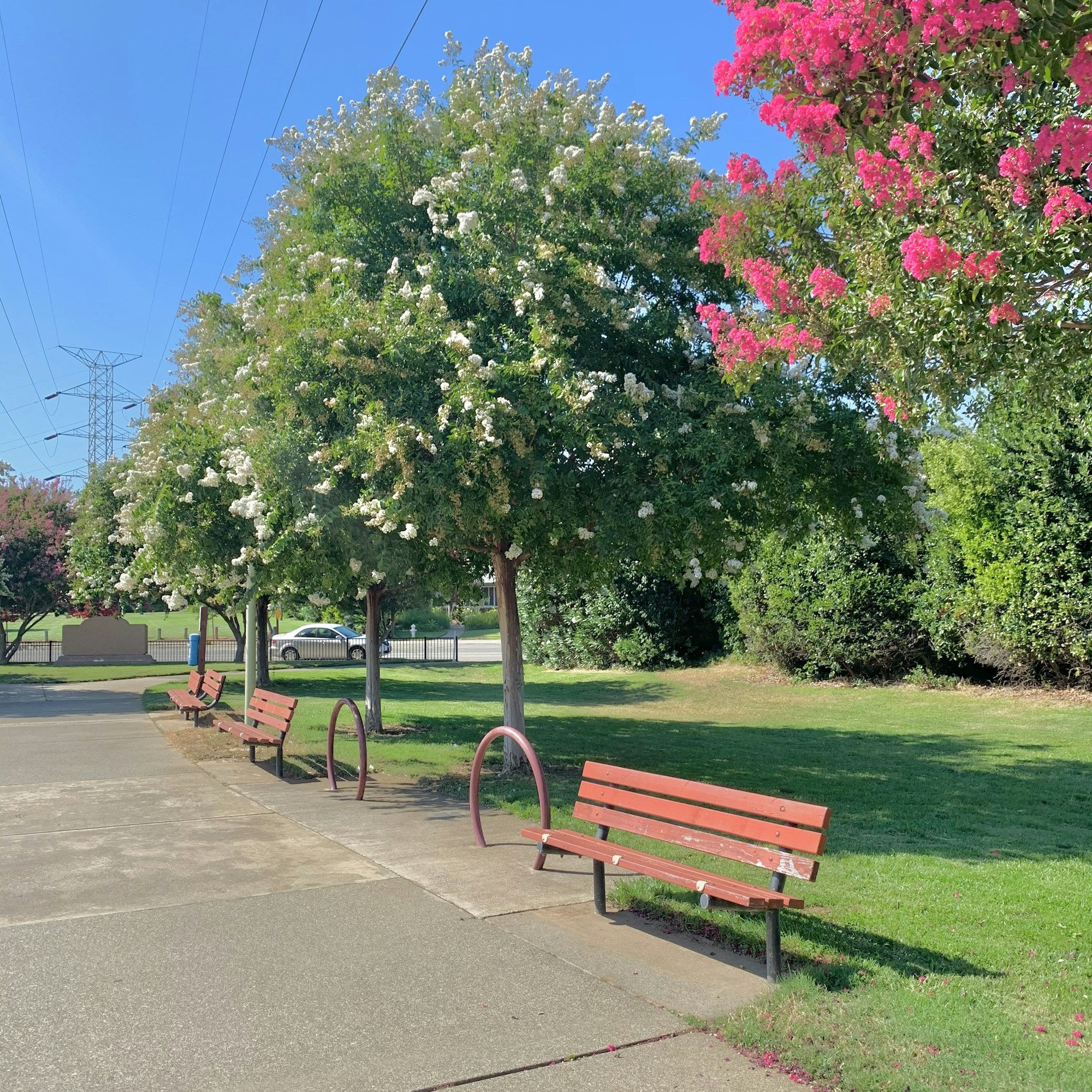 May contain: furniture, bench, park bench, plant, and grass