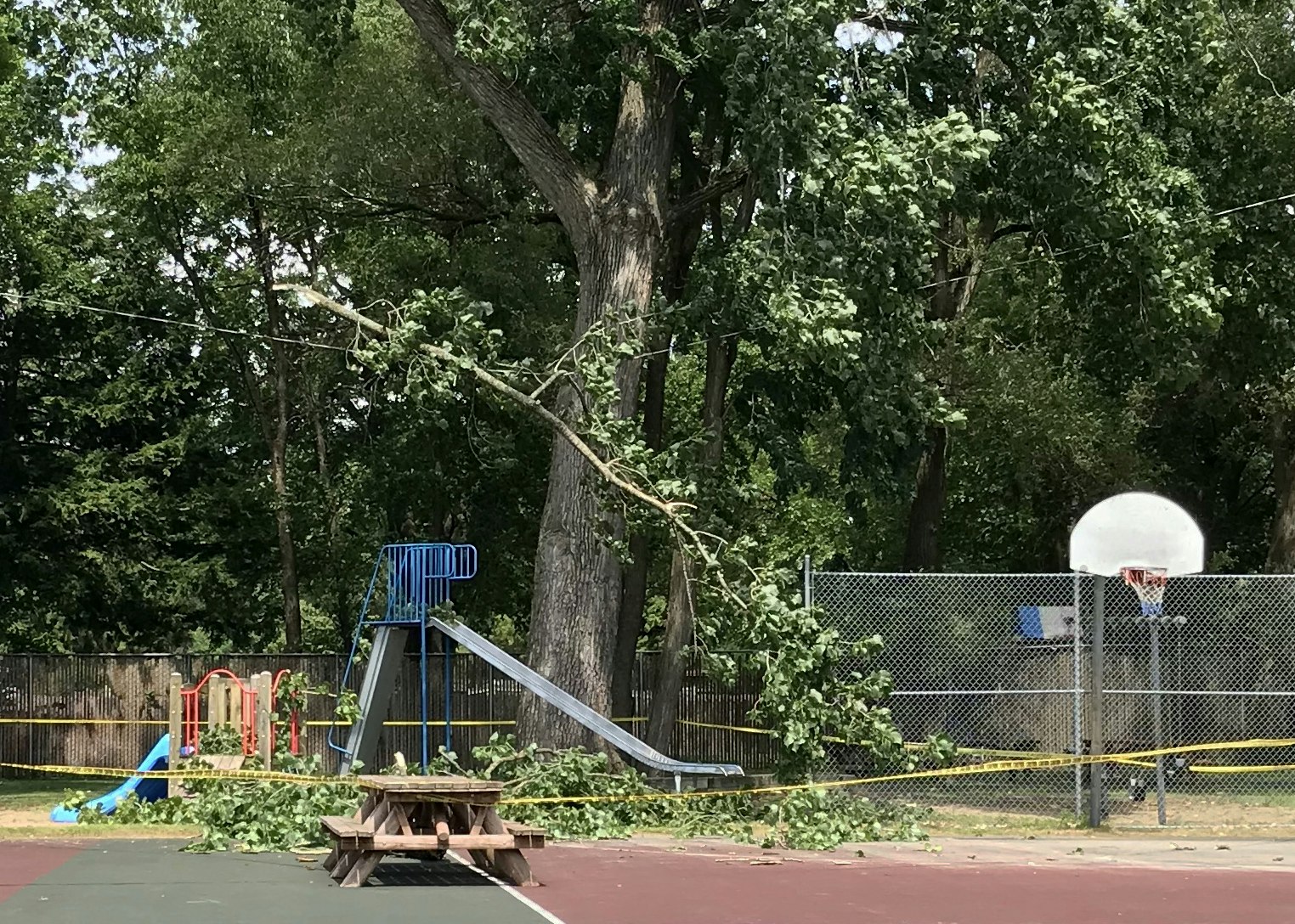 Picture of fallen branches over a play ground